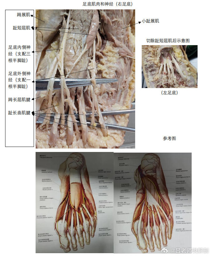 新澳今天最新资料晚上出冷汗_效率资料解剖落实_尊贵版222.144.57.23