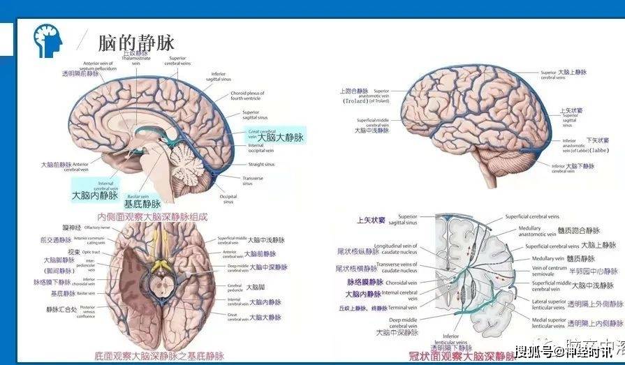 494949最快查开奖结果手机_绝对经典解剖落实_尊贵版103.211.116.226