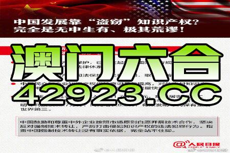 新澳2024年精准正版资料,时代资料解释落实_潮流版45.203