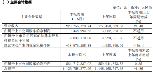 2024新澳最精准资料大全,实地验证方案策略_领航款19.944