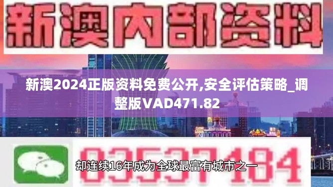 2024新澳精准正版资料,定性评估说明_标准版90.706