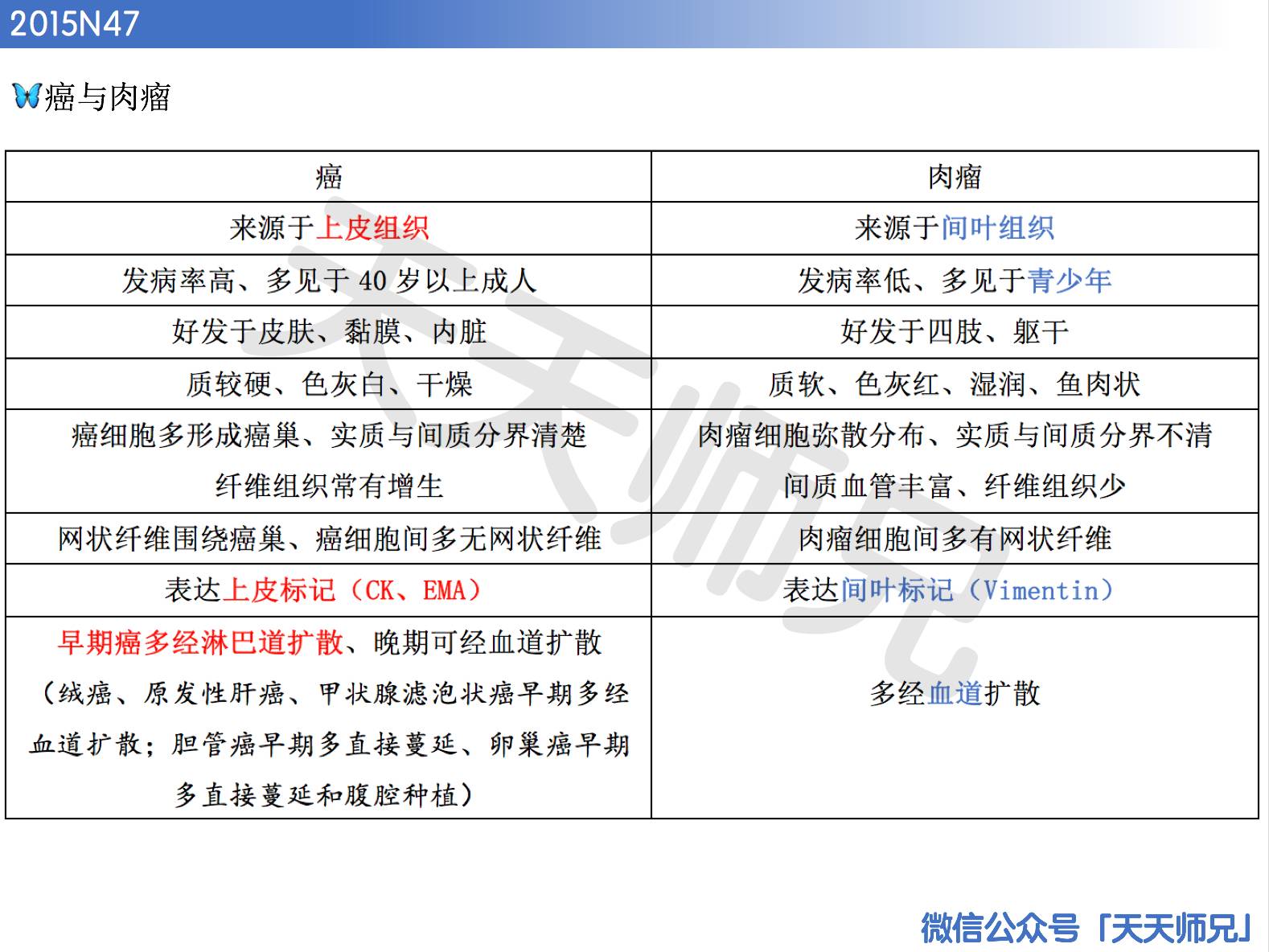 二四六天天好944cc彩资料全 免费一二四天彩,快速响应设计解析_豪华款40.610