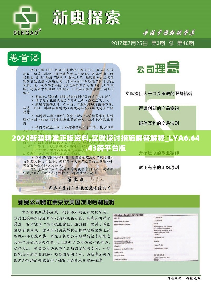 新澳2024年正版资料,国产化作答解释落实_SP74.779